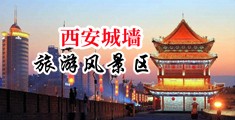黃片儿小女孩中国陕西-西安城墙旅游风景区